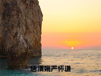 唐清婉严怀谦阅读无弹窗大结局_（唐清婉严怀谦阅读无弹窗）最新章节列表_笔趣阁（唐清婉严怀谦）