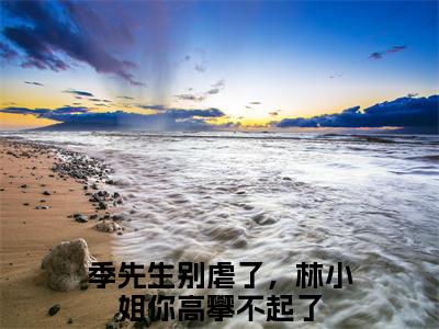 （林微微季司川）季先生别虐了，林小姐你高攀不起了小说全文免费_（林微微季司川）最新章节列表笔趣阁