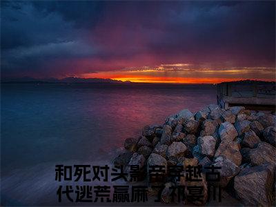 和死对头影帝穿越古代逃荒赢麻了（祁宴川沈盈）免费阅读-（祁宴川沈盈）最新章节小说全文在线阅读