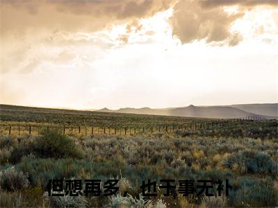 （热推新书）《但想再多，也于事无补》许舒檬-热推许舒檬无弹窗阅读但想再多，也于事无补在线阅读