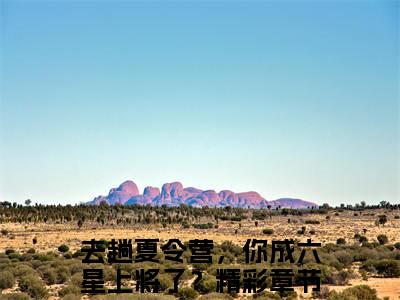 小说去趟夏令营，你成六星上将了？全文免费阅读无弹窗大结局-张岩去趟夏令营，你成六星上将了？免费阅读大结局