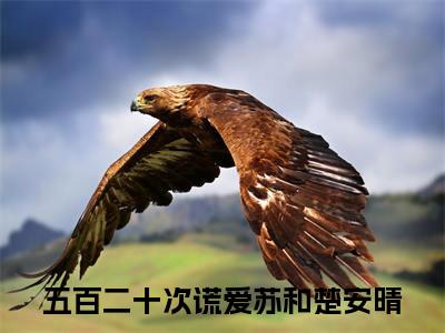 五百二十次谎爱全文免费阅读无弹窗大结局_（苏和楚安晴）五百二十次谎爱在线阅读无弹窗