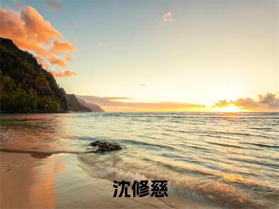 沈修慈（野火撩人心）全文免费读无弹窗大结局_野火撩人心免费小说沈修慈读无弹窗最新章节列表