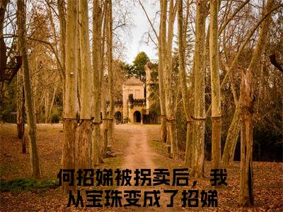 何招娣被拐卖后，我从宝珠变成了招娣无广告阅读新上热文被拐卖后，我从宝珠变成了招娣在线免费读