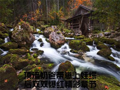 顶流奶爸带崽上娃综后双双爆红免费阅读-（顶流奶爸带崽上娃综后双双爆红）全文免费阅读无弹窗大结局（花灵灵）最新章节列表_笔趣阁