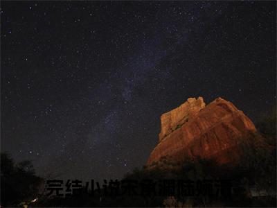 宋承渊陆婉清正版小说最新章节在线阅读-完结版小说（宋承渊陆婉清）