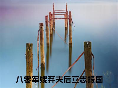 谢修泽沈清荟小说全文免费阅读-（八零军嫂弃夫后立志报国）谢修泽沈清荟精选小说大结局阅读