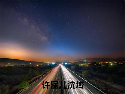 许寐儿沈域今日阅读更新，直播演绿茶，大家一起发癫好哇全文在线看