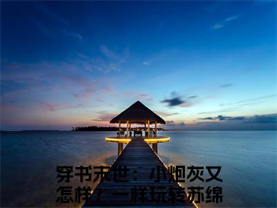 (番外)+(全文)穿书末世：小炮灰又怎样？一样玩转苏绵绵小说免费下载阅读_(穿书末世：小炮灰又怎样？一样玩转苏绵绵)穿书末世：小炮灰又怎样？一样玩转苏绵绵最新章节列表_笔趣阁（穿书末世：小炮灰又怎样？一样玩转苏绵绵）