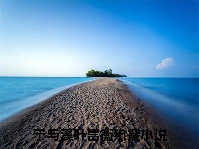 宁与溪叶言衡全本资源免费阅读结局无删节主角：宁与溪叶言衡小说全文阅读无弹窗