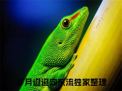 岁月迢迢向东流精选热门小说姜斐娴钟淮煦已完结全集大结局