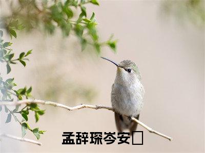 孟辞琛岑安玥全文免费阅读_（孟辞琛岑安玥免费阅读无弹窗）孟辞琛岑安玥最新章节在线阅读笔趣阁