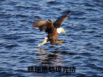全网热搜（林瑶萧晗璋）是什么小说_林瑶萧晗璋小说（林瑶萧晗璋）热门章节阅读无弹窗_笔趣阁