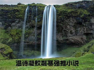 温诗凝鲛粼寒抖音完结版阅读《温诗凝鲛粼寒抖音》最新章节目录好书推荐_(温诗凝鲛粼寒)