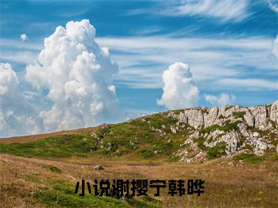 谢撄宁韩晔全文免费阅读-全网首发小说谢撄宁韩晔