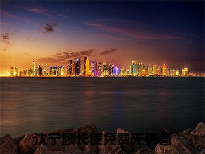沈宁顾长庚全文免费阅读大结局-（沈宁顾长庚）最新章节列表在线阅读