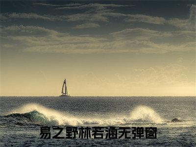 易之野林若涵小说全文免费阅读（浮生若梦朝与暮）全文免费阅读无弹窗大结局