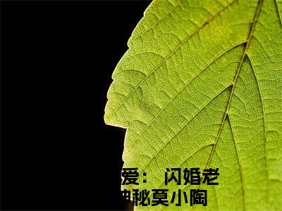 先婚厚爱： 闪婚老公好神秘莫小陶全文免费大结局小说-先婚厚爱： 闪婚老公好神秘莫小陶全文最新章节阅读