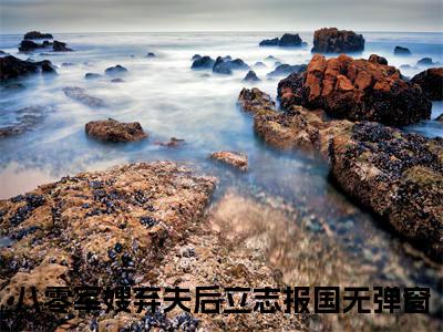 （沈清荟谢修泽）全文免费阅读八零军嫂弃夫后立志报国言情小说讲的是什么