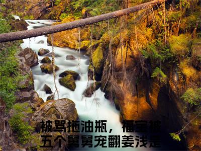 被骂拖油瓶，福宝被五个舅舅宠翻姜浅（被骂拖油瓶，福宝被五个舅舅宠翻姜浅）全文免费阅读无弹窗完整版_ (被骂拖油瓶，福宝被五个舅舅宠翻姜浅免费阅读全文)最新章节列表_笔趣阁（被骂拖油瓶，福宝被五个舅舅宠翻姜浅）