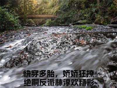 主角是快穿多胎，娇娇狂撩绝嗣反派林淳欢的小说-精选热门小说（快穿多胎，娇娇狂撩绝嗣反派林淳欢）