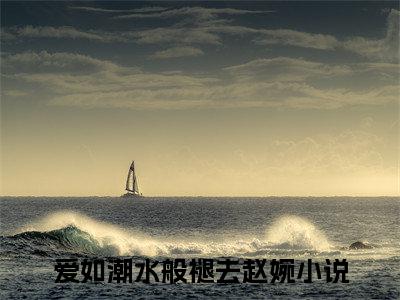 爱如潮水般褪去赵婉全章节目录爱如潮水般褪去赵婉小说阅读