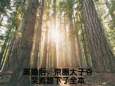 离婚后，京圈太子爷哭着跪下了长篇免费小说，权时言千云漓最新章节在线阅读