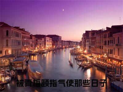 江入年陈着全文免费在线阅读大结局_（被青梅颐指气使那些日子免费阅读无弹窗）江入年陈着全文免费完结版阅读（被青梅颐指气使那些日子）