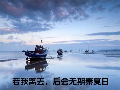 若我离去，后会无期秦夏白小说(若我离去，后会无期秦夏白)全文免费阅读无弹窗大结局_若我离去，后会无期秦夏白小说免费阅读无弹窗最新章节列表_笔趣阁