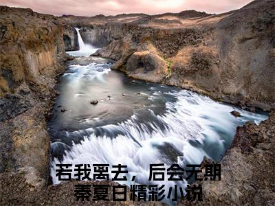 若我离去，后会无期秦夏白完整版最新小说大结局 若我离去，后会无期秦夏白最新章节