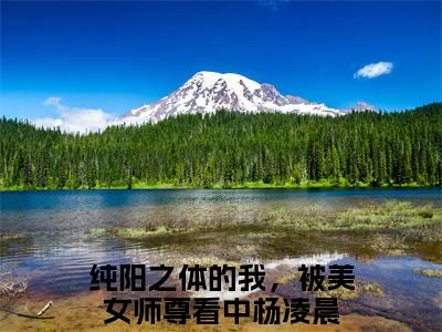 纯阳之体的我，被美女师尊看中杨凌晨全网首发小说，纯阳之体的我，被美女师尊看中杨凌晨全文免费阅读