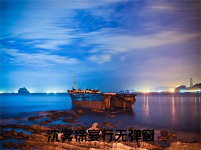沈雾徐宴行（沈雾徐宴行）全文免费阅读无弹窗大结局_沈雾徐宴行最新章节列表