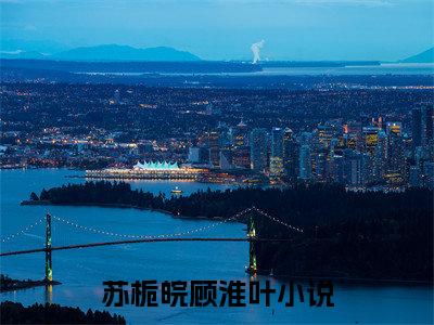 苏栀皖顾淮叶（苏栀皖顾淮叶）全文免费阅读无弹窗大结局_苏栀皖顾淮叶在线阅读（苏栀皖顾淮叶）