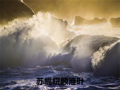 苏栀皖顾淮叶小说(苏栀皖顾淮叶)小说全文免费阅读_（苏栀皖顾淮叶）苏栀皖顾淮叶最新章节列表