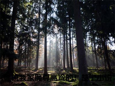 谁说我家魔尊高冷的！楚宁热门小说 全文免费阅读无弹窗大结局-谁说我家魔尊高冷的！楚宁全文无弹窗免费阅读大结局