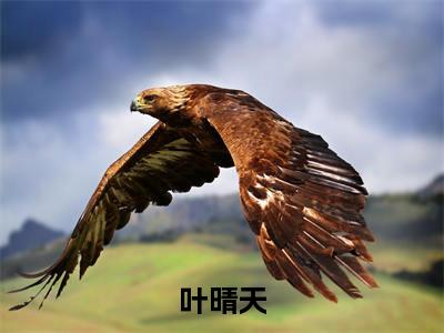叶晴天为叶晴天的小说叫什么-最新小说逃荒后三岁福宝被团宠了全文阅读