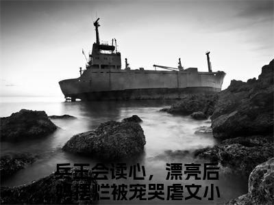 陆寒洲徐子矜全文免费阅读无弹窗大结局_（兵王会读心，漂亮后妈摆烂被宠哭）陆寒洲徐子矜在线阅读无弹窗
