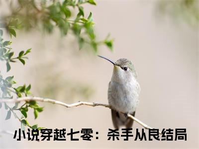 穿越七零：杀手从良全文免费阅读无弹窗大结局_（无痕傅尧庭）最新章节列表_笔趣阁（穿越七零：杀手从良小说）
