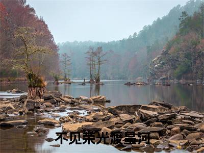 热门小说不见荣光渡星河苏静怡顾烨城全文免费阅读无弹窗大结局-不见荣光渡星河全文无弹窗免费阅读大结局