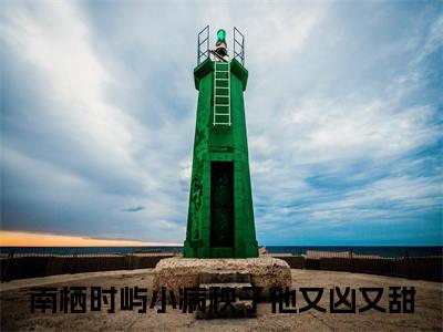 小病秧子他又凶又甜小说全文-小病秧子他又凶又甜（南栖时屿）最新章节免费阅读