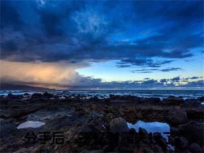 小说（严知许严景驰）分手后，千亿财阀失控了！全文阅读-严知许严景驰（分手后，千亿财阀失控了！）老书虫书荒推荐热点小说