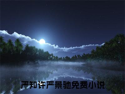 分手后，千亿财阀失控了！全文免费阅读-（严知许严景驰）小说全文免费阅读正版无弹窗