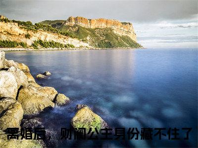 离婚后，财阀公主身份藏不住了（宋知希傅瑾轩全章节完整版）免费阅读_（离婚后，财阀公主身份藏不住了）全文无删减免费阅读（离婚后，财阀公主身份藏不住了）