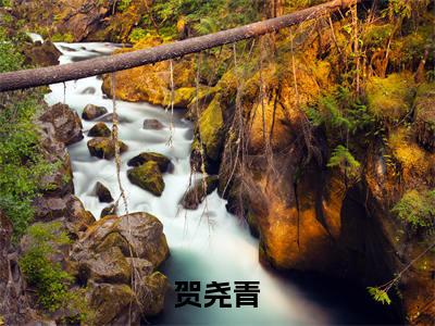 贺尧青免费小说（南来北往不同路）全本免费阅读-贺尧青最新章节列表