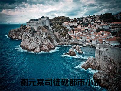 别惹！王妃她从末世来小说（谢元棠司徒砚）全文免费阅读无弹窗大结局_别惹！王妃她从末世来完整版最新阅读_笔趣阁（谢元棠司徒砚）