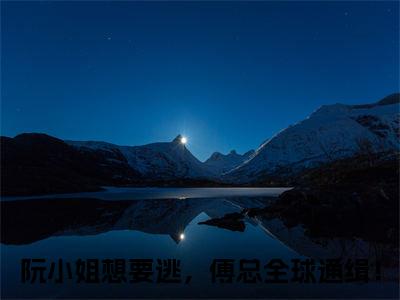 阮唐傅景天（阮小姐想要逃，傅总全球通缉！）全文免费阅读无弹窗大结局_阮唐傅景天免费最新章节列表_笔趣阁