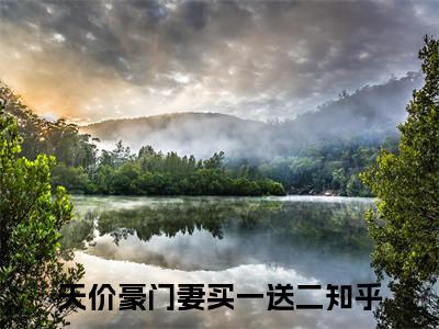 天价豪门妻买一送二（萧芸曦宫北辰）的小说完整版免费阅读主角是（天价豪门妻买一送二）萧芸曦宫北辰无弹窗免费阅读
