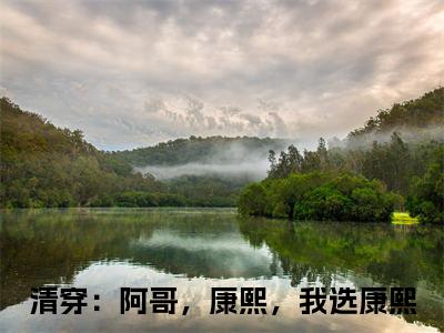 清穿：阿哥，康熙，我选康熙小说明珠-清穿：阿哥，康熙，我选康熙小说在哪里可以看