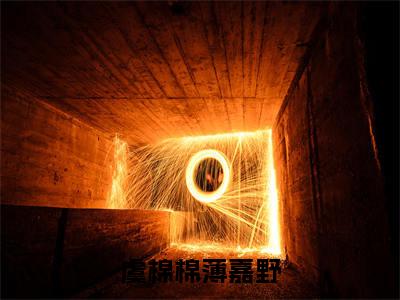 恋综后cp粉哭着求我和影帝结婚小说虞棉棉薄嘉野完整版阅读虞棉棉薄嘉野全文在线赏析