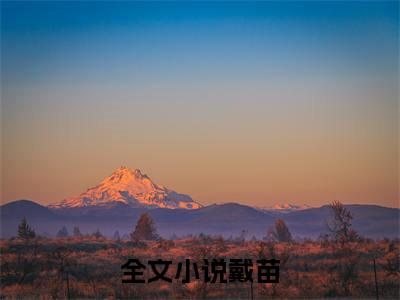 （热推新书）《八零之不要团长要科研》戴苗-热推戴苗无弹窗阅读八零之不要团长要科研在线阅读